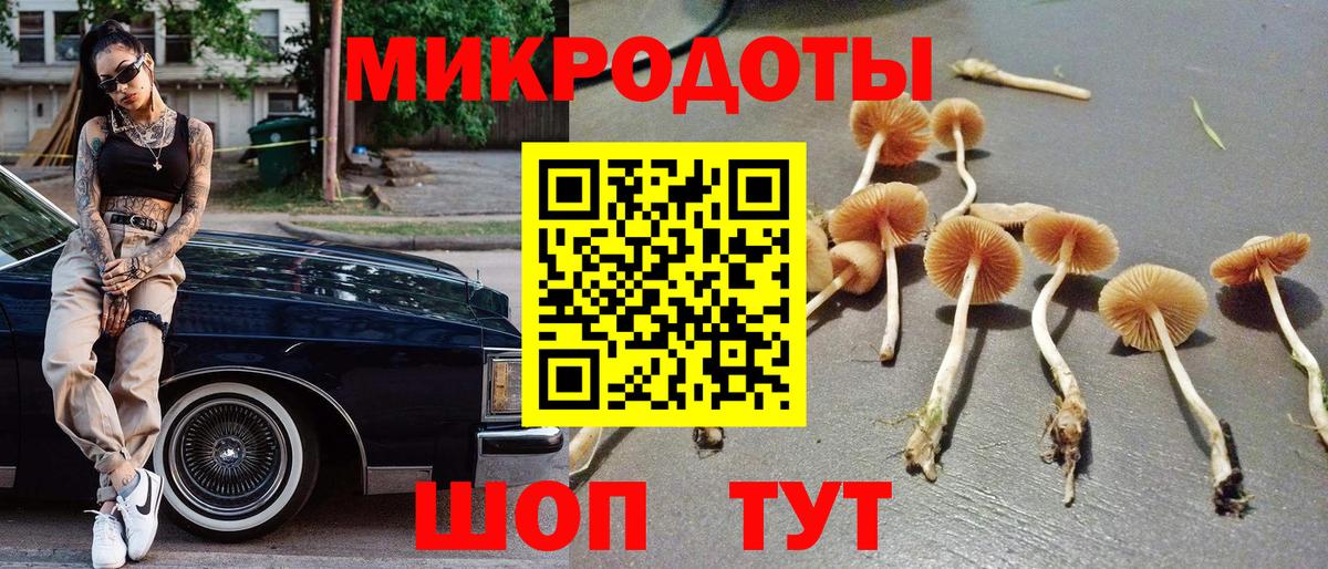 Псилоцибиновые грибы Magic Shrooms  Вход с VPN  Галлюциногенные грибы прущие грибы  Асино 